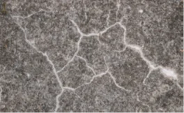 Self-healing concrete